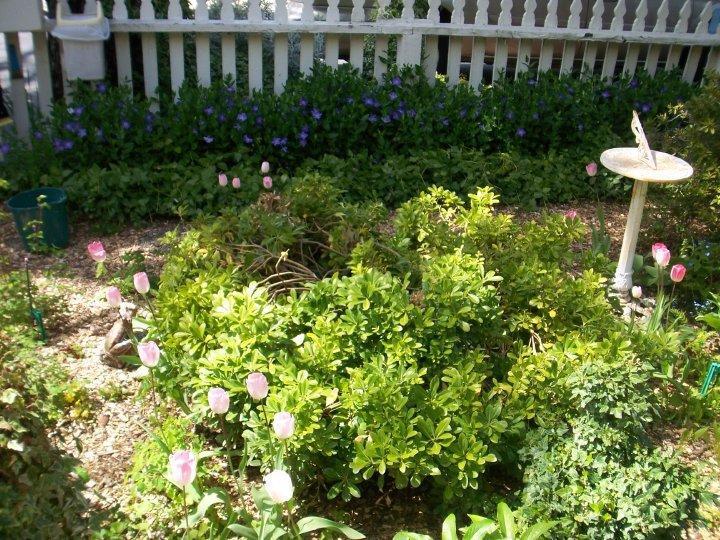 マーフィ Dunbar House, 1880 Bed & Breakfast エクステリア 写真